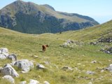 Clicca qui per vedere l'immagine in dettaglio